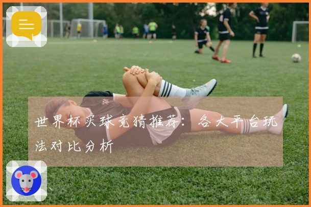 世界杯买球竞猜推荐：各大平台玩法对比分析