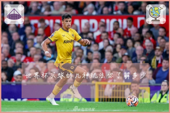 世界杯买球的几种玩法你了解多少