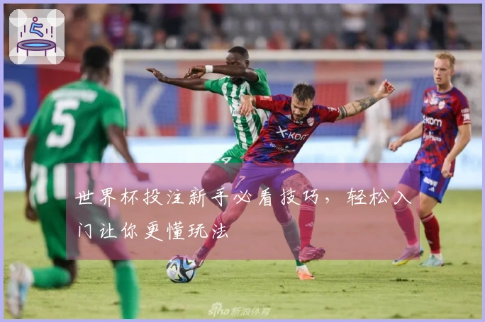 世界杯投注新手必看技巧，轻松入门让你更懂玩法