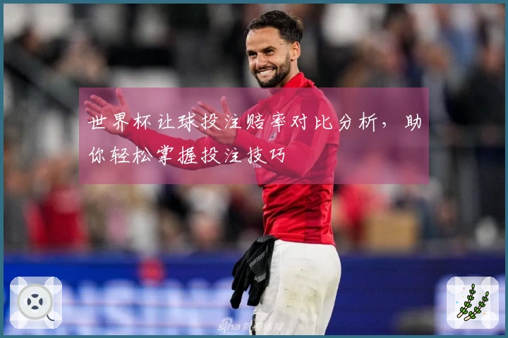 世界杯让球投注赔率对比分析，助你轻松掌握投注技巧