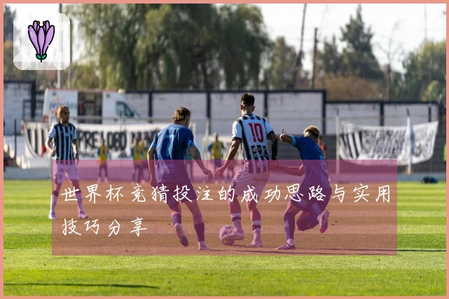 世界杯竞猜投注的成功思路与实用技巧分享