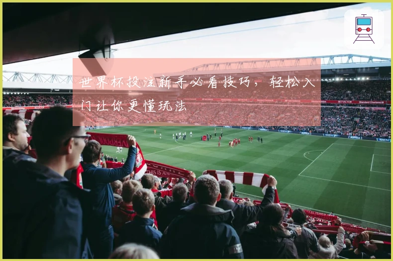 世界杯投注新手必看技巧，轻松入门让你更懂玩法