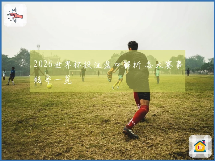 2026世界杯投注盘口解析 各大赛事赔率一览