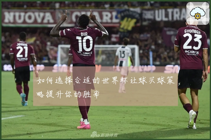 如何选择合适的世界杯让球买球策略提升你的胜率