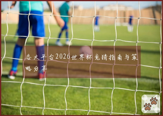 各大平台2026世界杯竞猜指南与策略分享