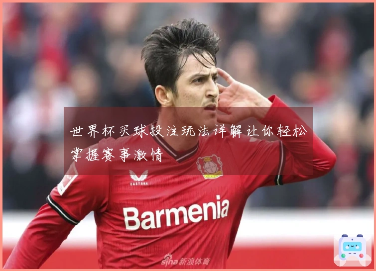 世界杯买球投注玩法详解让你轻松掌握赛事激情